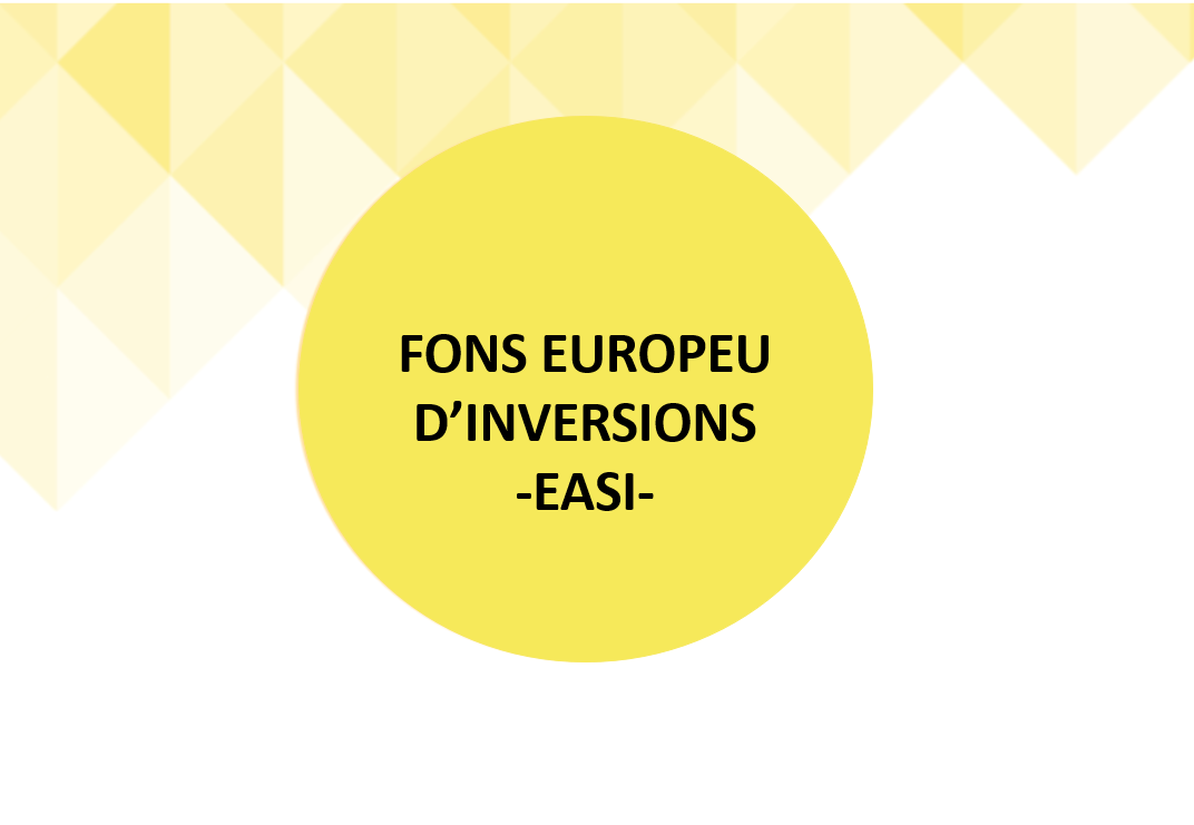 FONS EUROPEU D’INVERSIONS -EASI-